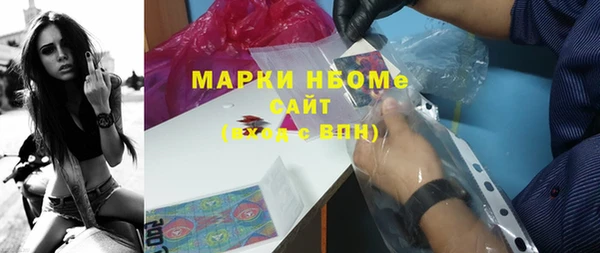 прущий лед Алзамай