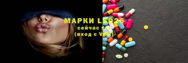 прущий лед Алзамай